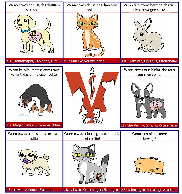 Bildsprachliche Darstellung "was ist eine Notfall?" | Bildquelle: Heim- und Kleintierpraxis Wagner, Westerburg